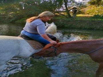 Ranch Les Amazones